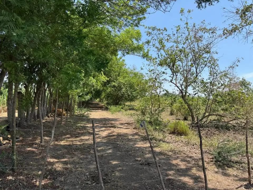 Terreno en Guanagazapa, Km 84 Escuintla — Terreno en Venta en Escuintla, Escuintla — foto 2 de 3