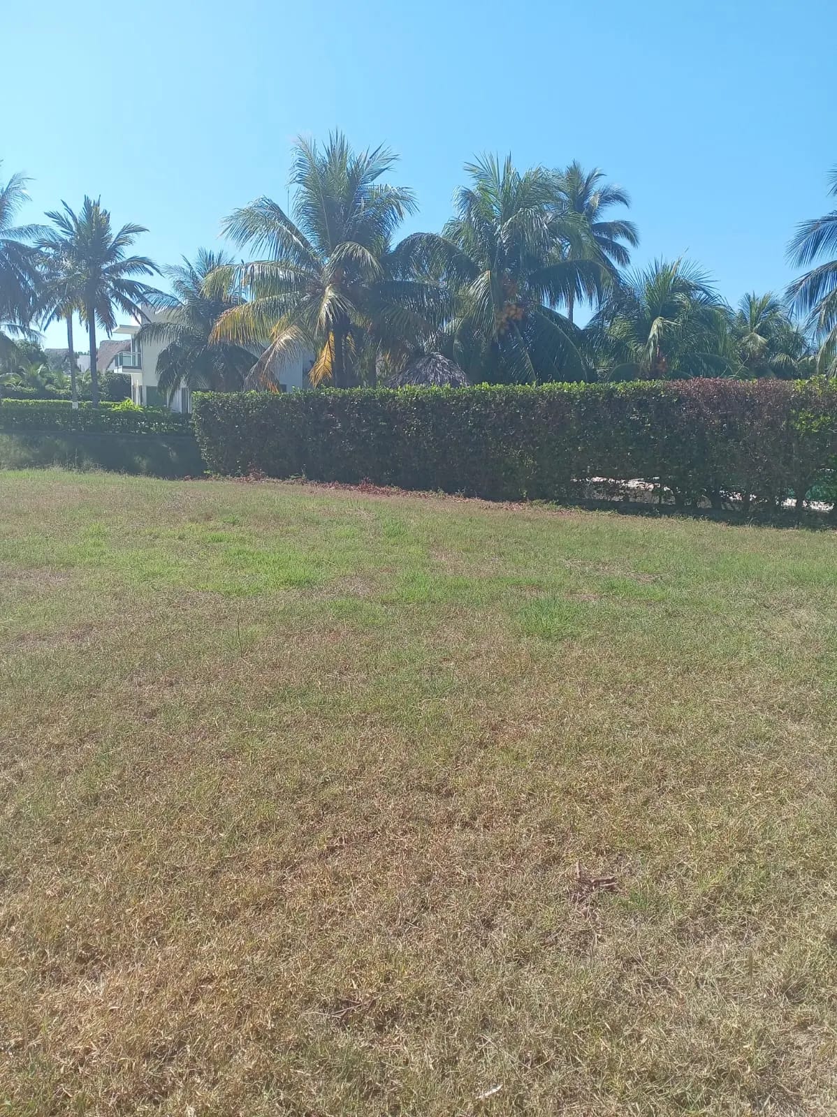 Terreno en Km 118 Iztapa, Pérgolas del Mar — Terreno en Venta en Iztapa, Escuintla — foto 5 de 5