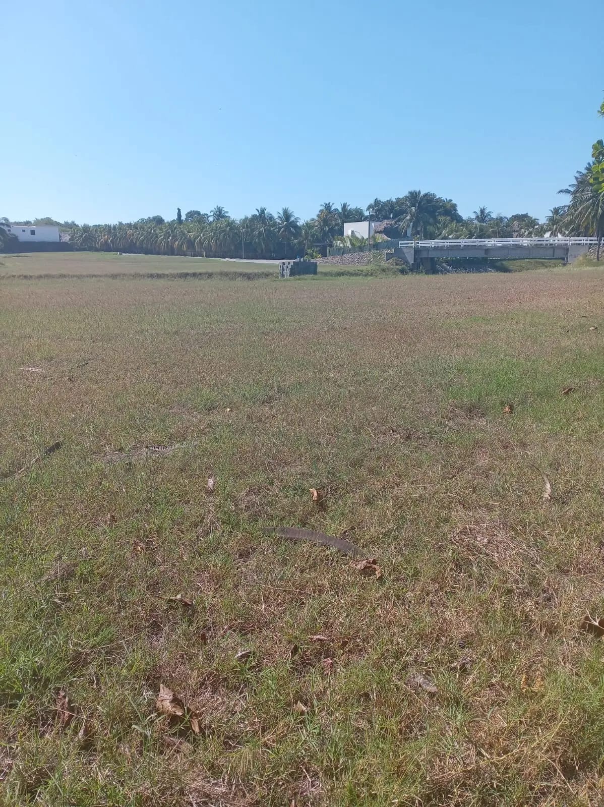 Terreno en Km 118 Iztapa, Pérgolas del Mar — Terreno en Venta en Iztapa, Escuintla — foto 3 de 4