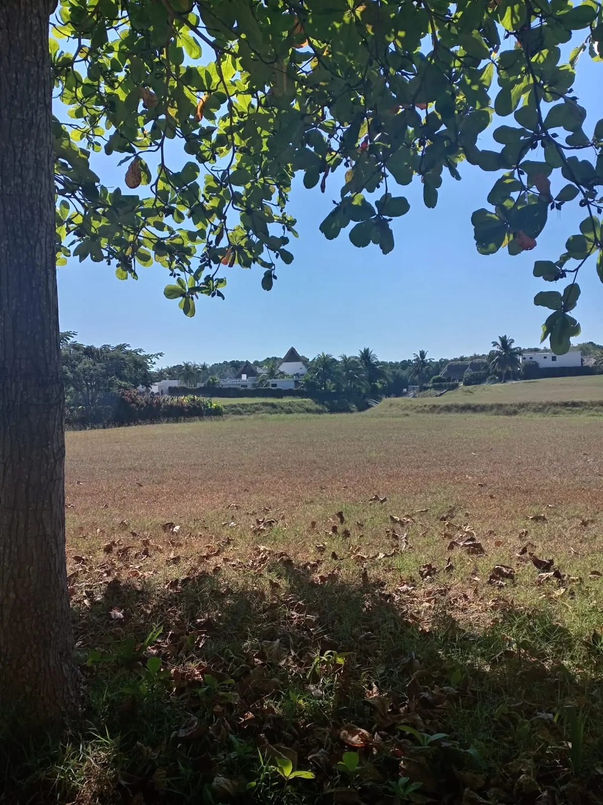 Terreno en Km 118 Iztapa, Pérgolas del Mar — Terreno en Venta en Iztapa, Escuintla — foto 4 de 4