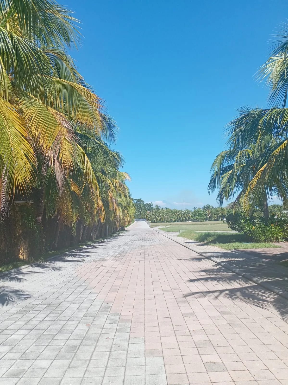 Terreno en Km 118 Iztapa, Pérgolas del Mar — Terreno en Venta en Iztapa, Escuintla — foto 2 de 7