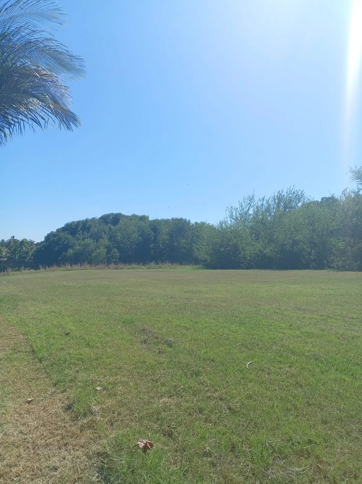 Terreno en Km 118 Iztapa, Pérgolas del Mar — Terreno en Venta en Iztapa, Escuintla — foto 7 de 7