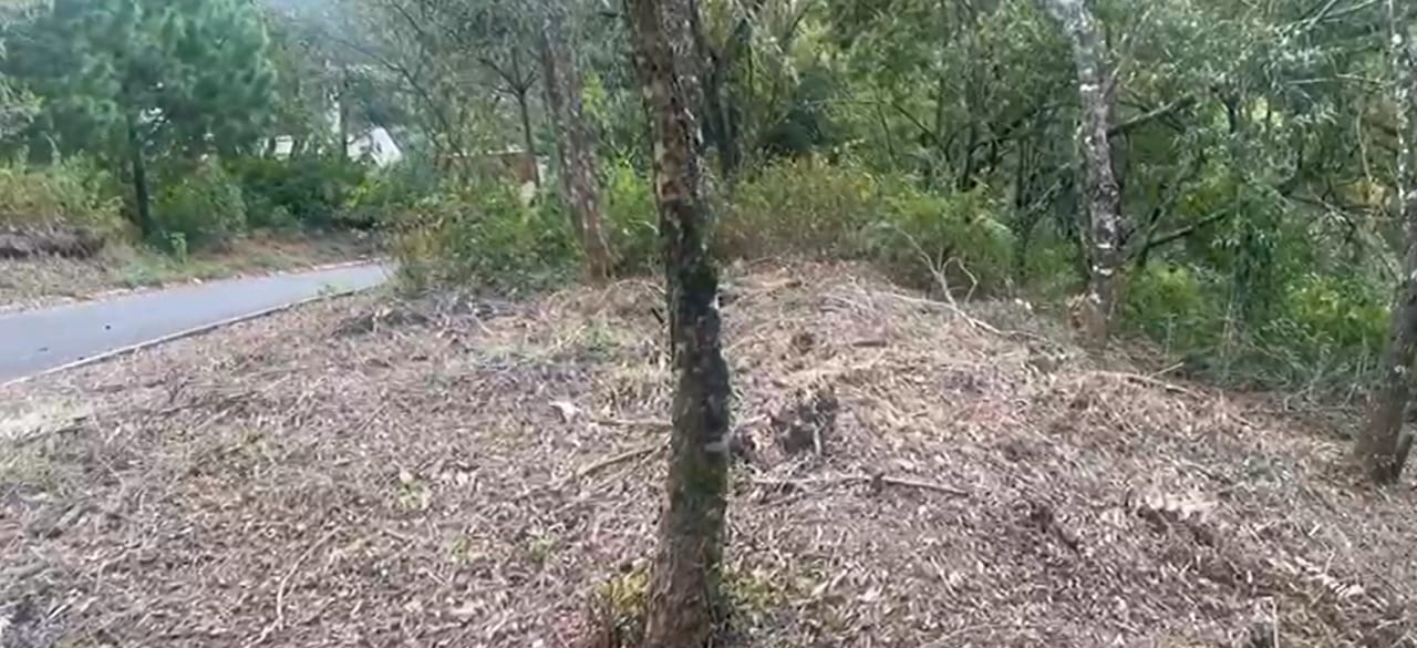Terreno en Km 16 Carretera a El Salvador — Terreno en Venta en Carretera a El Salvador, Guatemala, Ciudad — foto 3 de 6