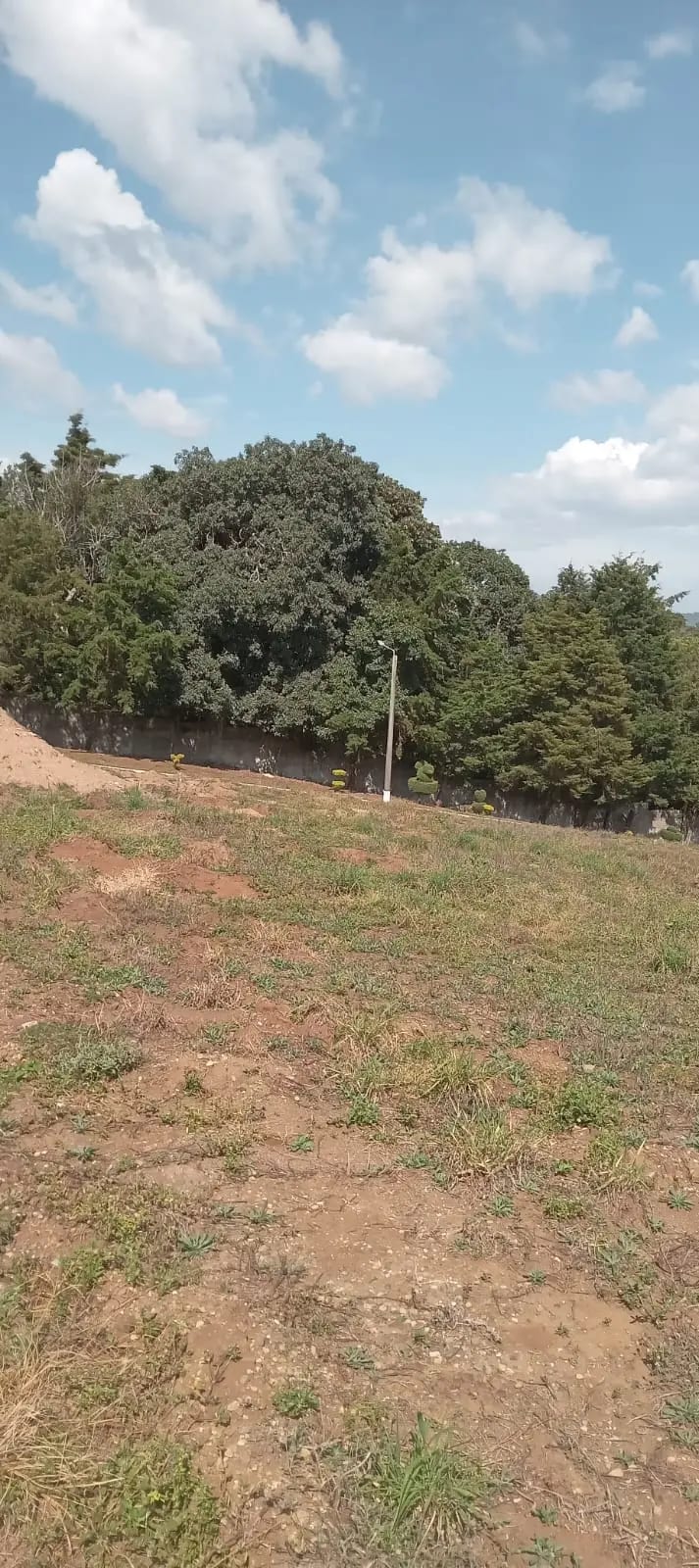 Terreno en Carretera a Santa Elena Barillas — Terreno en Venta en Villa Canales, Guatemala, Ciudad — foto 3 de 3