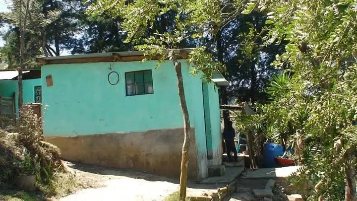 Propiedad en Santa Elena Barillas — Finca en Venta en Villa Canales, Guatemala, Ciudad — foto 2 de 5