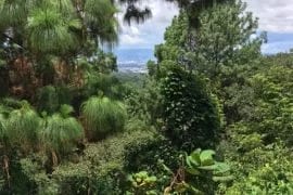 Terrenos en El Encinal, zona 7 de Mixco — Terreno en Venta en Zona 7 Mixco, Guatemala, Ciudad — foto 3 de 3