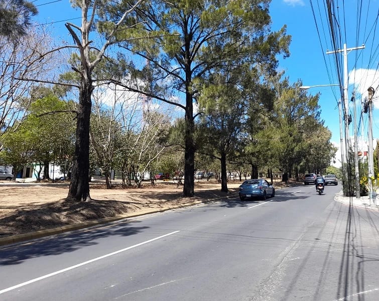 Propiedad comercial sobre Boulevard San Cristóbal (Opción 1) — Bodega / Ofibodega en Alquiler en Zona 8 Mixco, Guatemala, Ciudad — foto 4 de 4