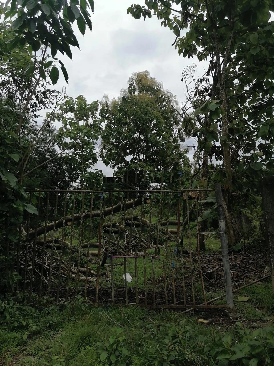 Terreno en Izabal — Terreno en Venta en Morales, Izabal — foto 1 de 2