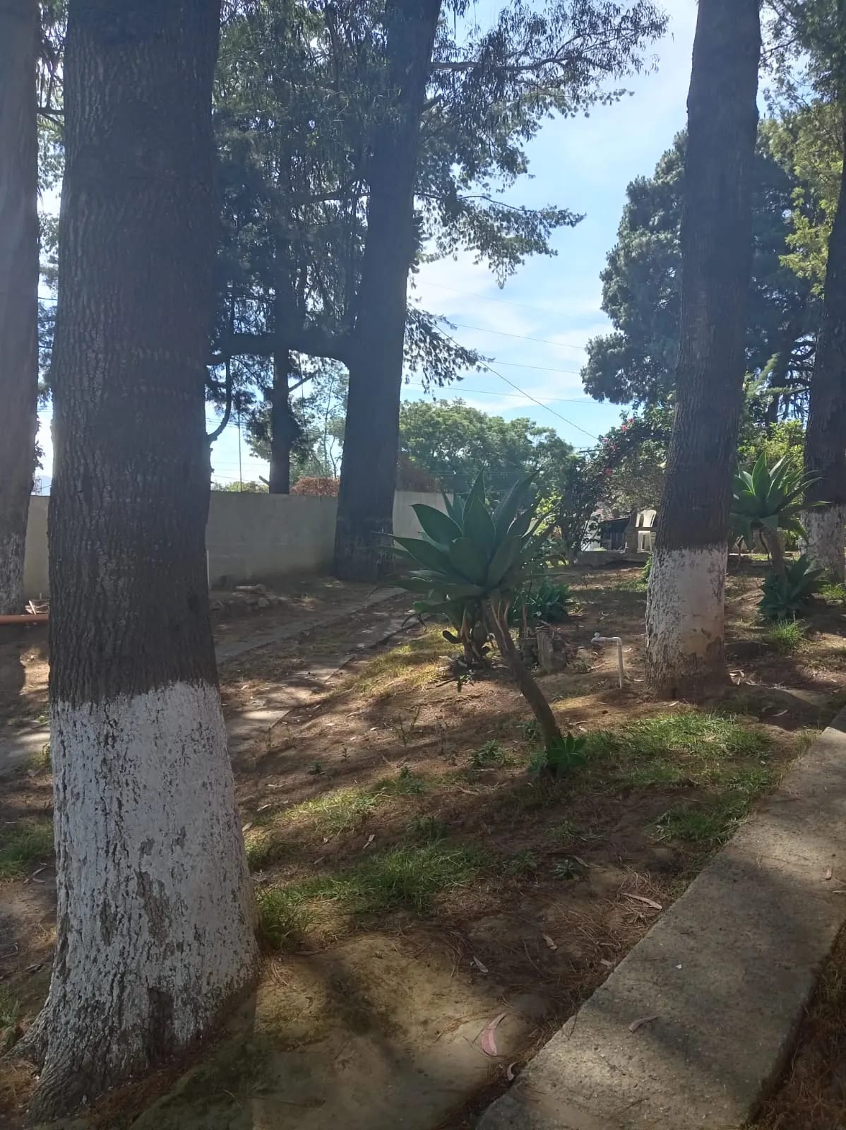 Granja en Km 32 San Bartolomé Milpas Altas, Sacatepéquez — Finca en Alquiler en San Bartolomé Milpas Altas, Sacatepéquez — foto 4 de 4