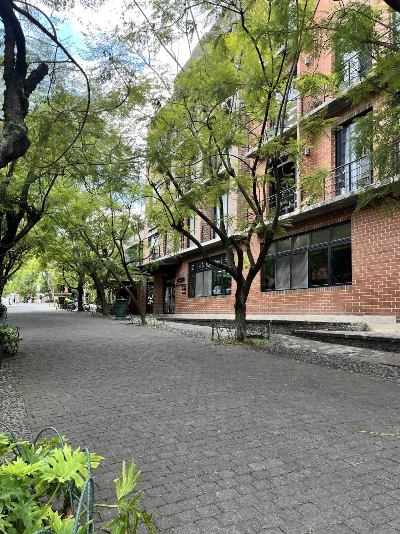 Apartamento amueblado en Zona 4 — Apartamento en Alquiler en Zona 4, Guatemala, Ciudad — foto 5 de 5