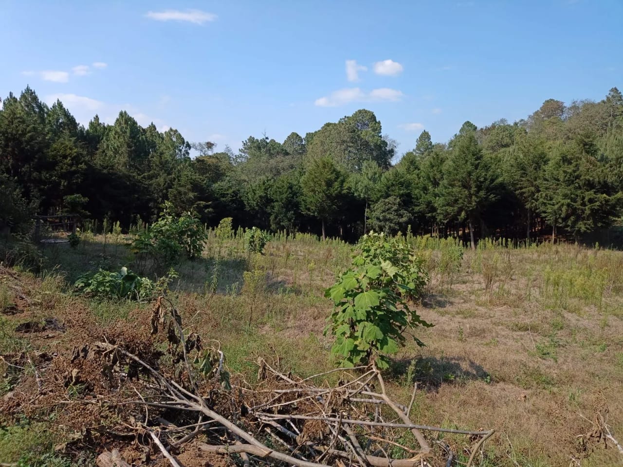 Terreno en Santa María Cauqué, Santiago Sacatepéquez — Terreno en Venta en Santiago Sacatepéquez, Sacatepéquez — foto 1 de 9