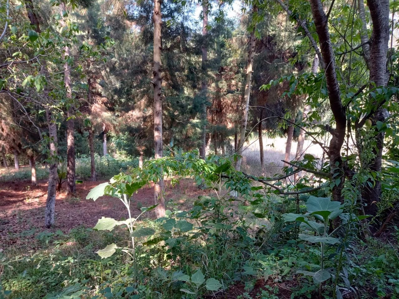 Terreno en Santa María Cauqué, Santiago Sacatepéquez — Terreno en Venta en Santiago Sacatepéquez, Sacatepéquez — foto 8 de 9