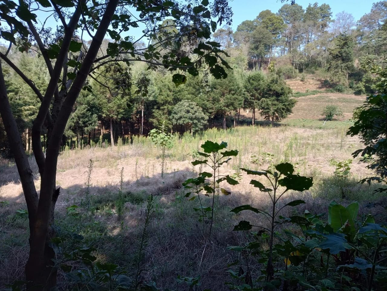 Terreno en Santa María Cauqué, Santiago Sacatepéquez — Terreno en Venta en Santiago Sacatepéquez, Sacatepéquez — foto 7 de 9