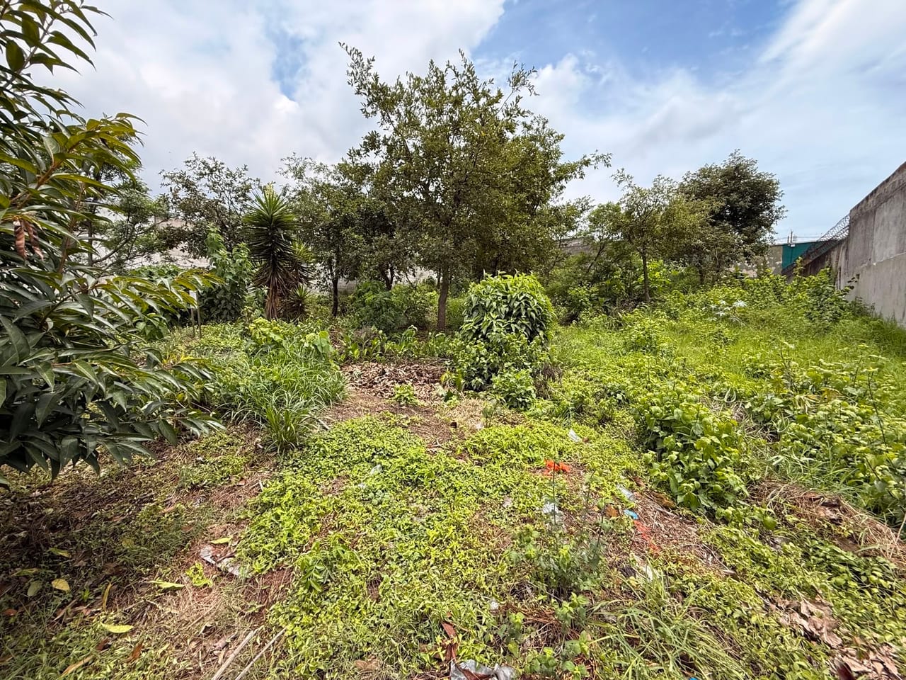 EN VENTA APLIO TERRENO DE 1520 VARAS EN SECTOR A6 CIUDAD SAN CRISTOBAL — Terreno en Venta en Zona 8 Mixco, Guatemala, Ciudad — foto 5 de 7
