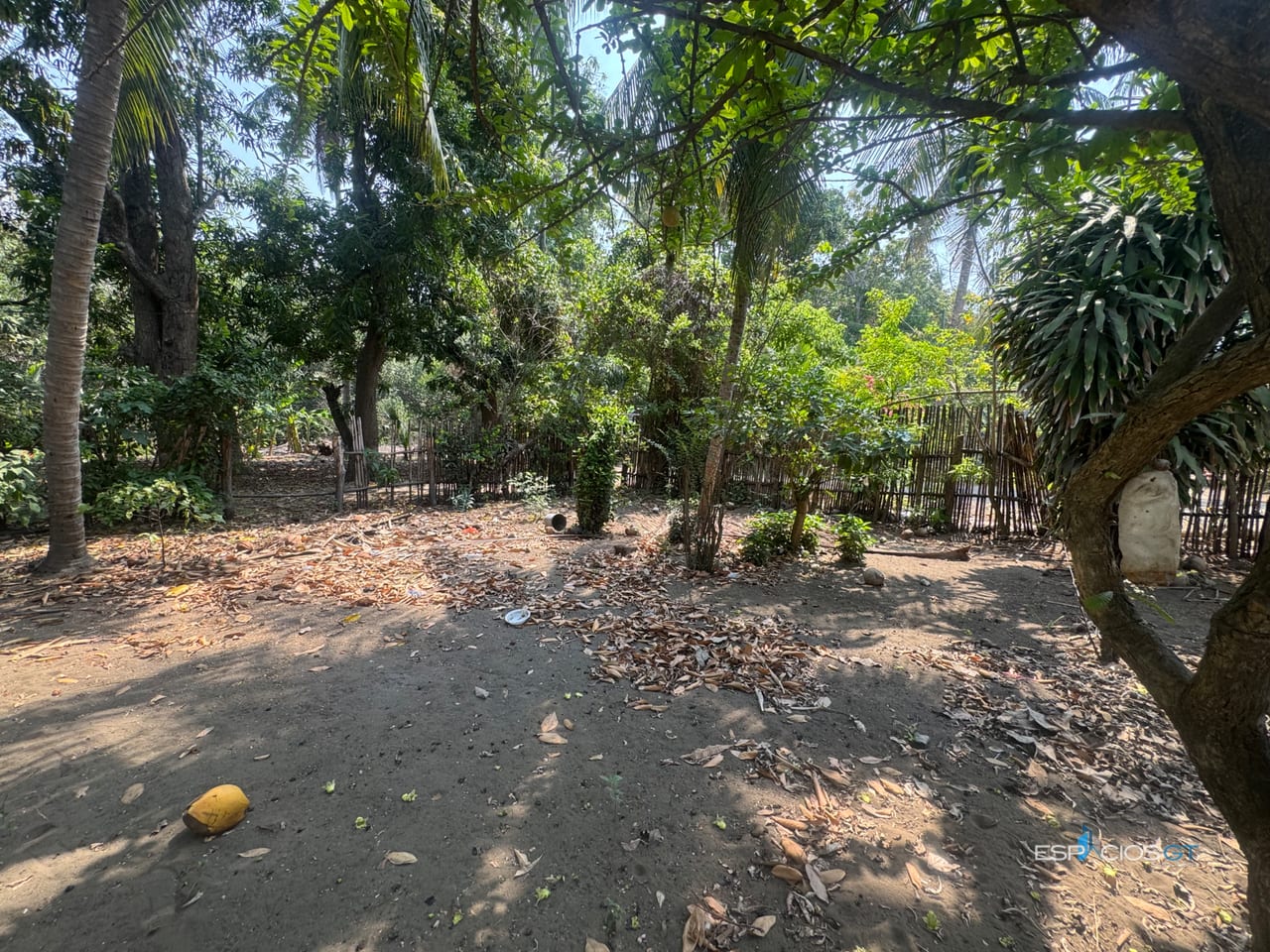 TERRENO EN VENTA EL PAREDÓN — Terreno en Venta en Sipacate, Escuintla — foto 3 de 8
