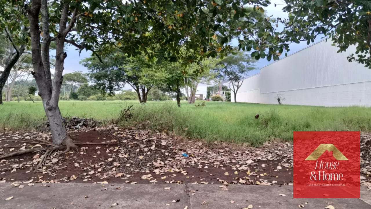Renta de terreno en Taxisco — Terreno en Alquiler en Taxisco, Santa Rosa — foto 3 de 4