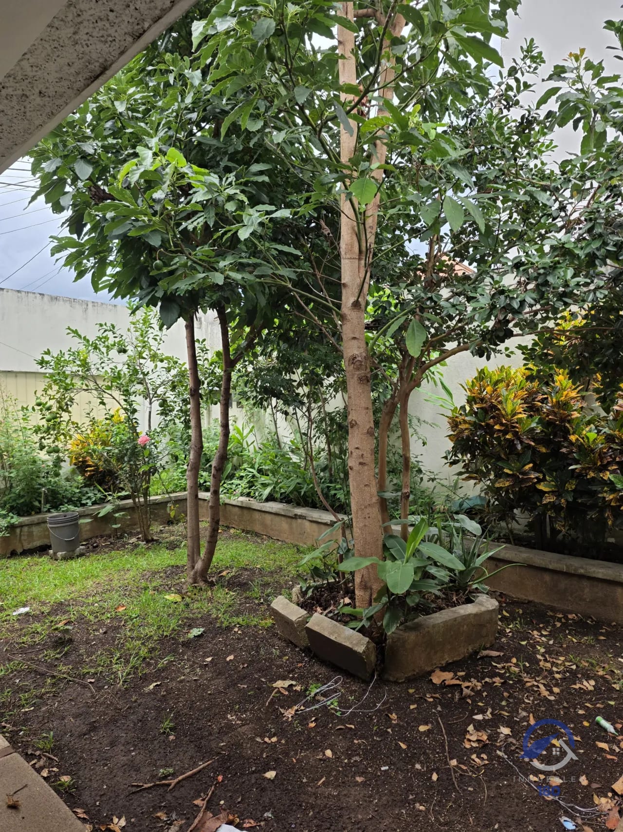 Terreno con casa para demoler en venta en Colonia El Maestro, zona 15 — Terreno en Venta en El Maestro II, Zona 15, Guatemala, Ciudad — foto 10 de 15