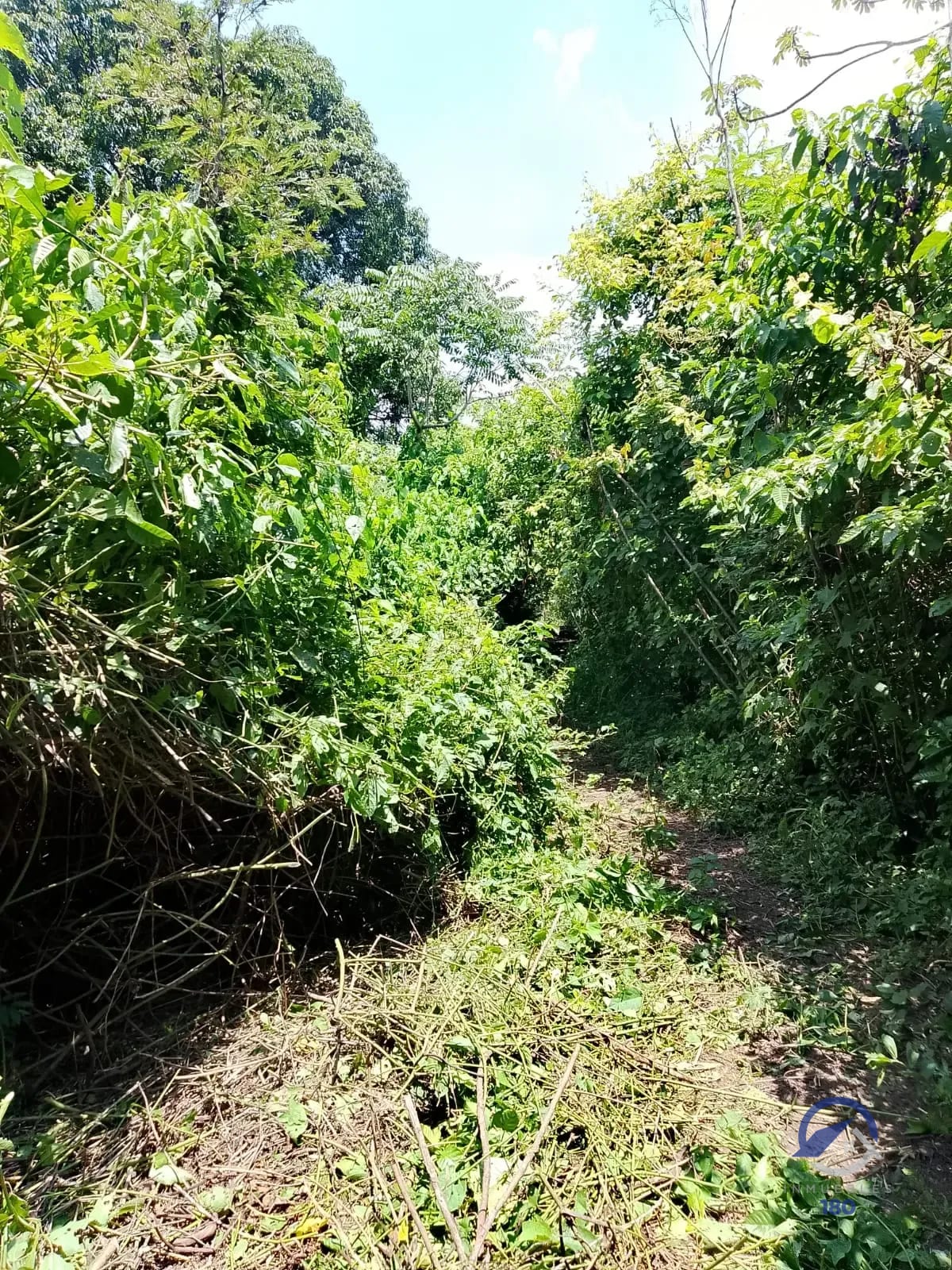 19.2 manzanas en venta en el Km. 51 Carretera Vieja a Palín, Escuintla — Terreno en Venta en Palín, Escuintla — foto 5 de 9
