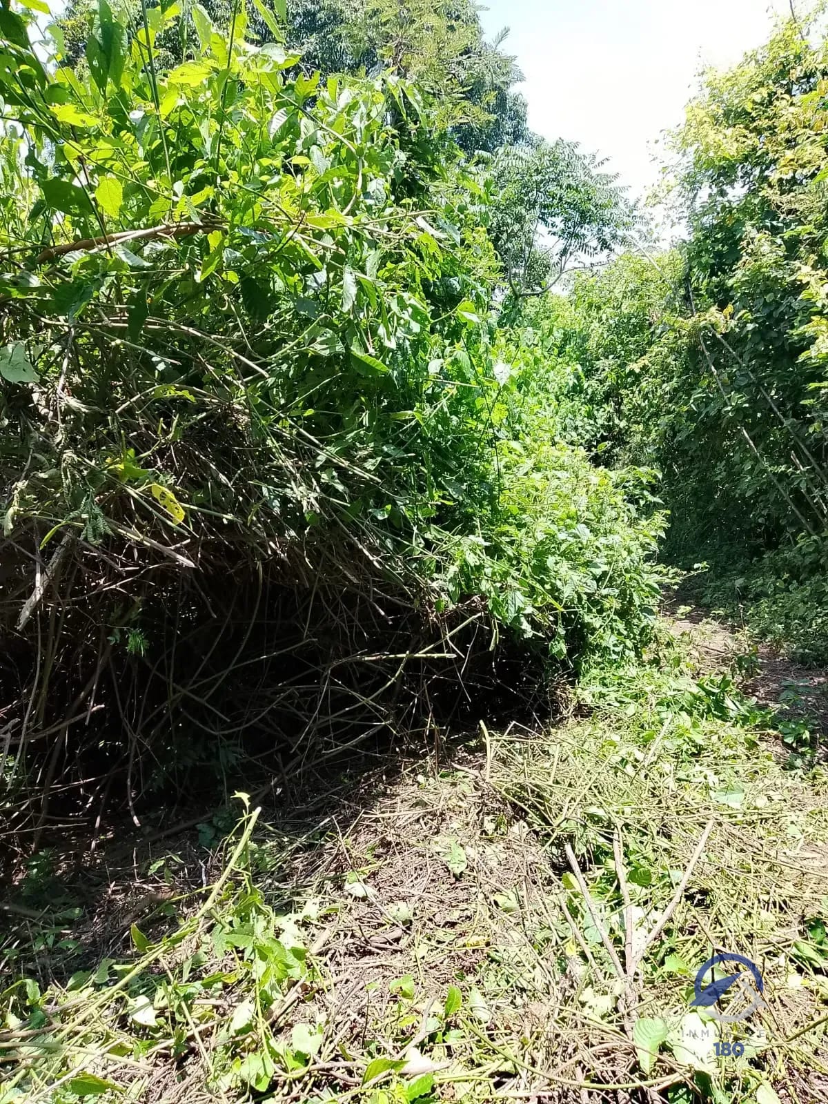 19.2 manzanas en venta en el Km. 51 Carretera Vieja a Palín, Escuintla — Terreno en Venta en Palín, Escuintla — foto 6 de 9