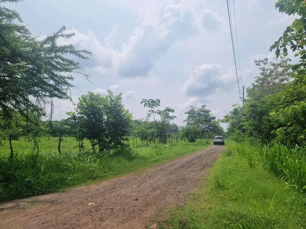 venta Terreno de 6 manzanas en Escuintla- km 71 - Image 2