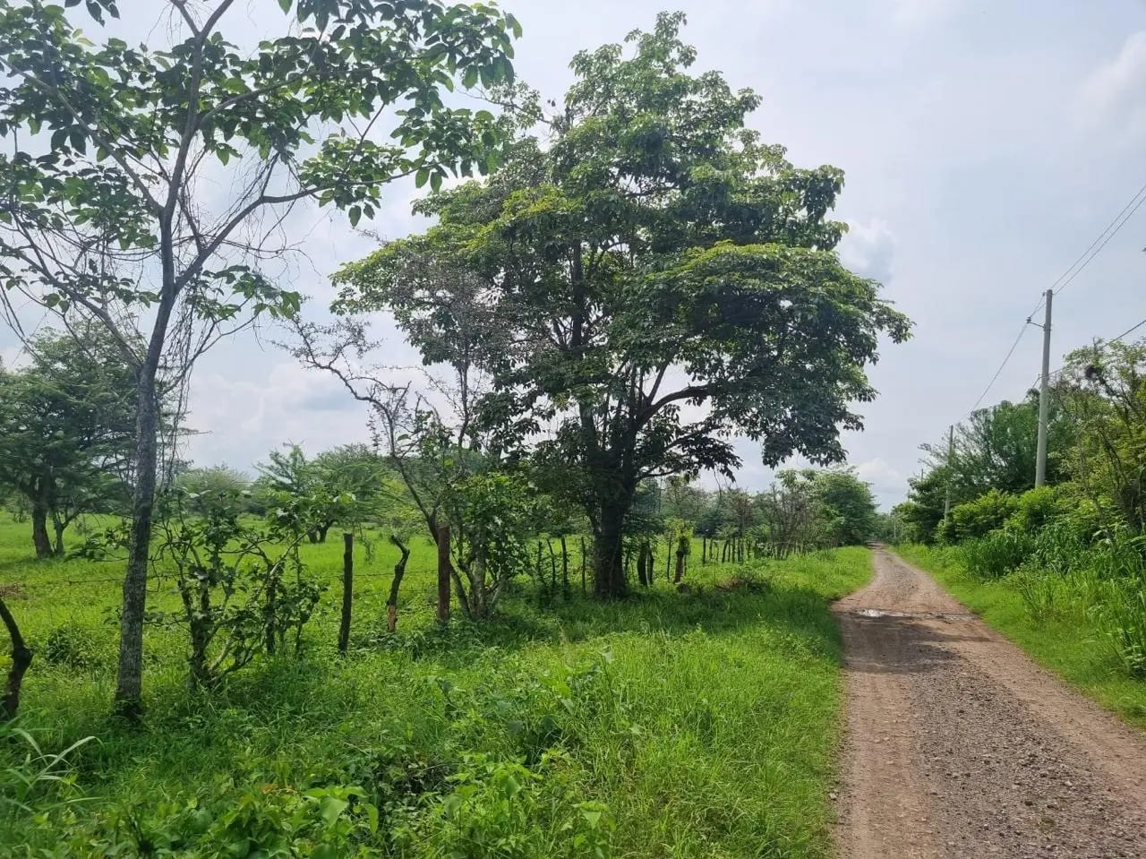venta Terreno de 6 manzanas en Escuintla- km 71 - Image 1