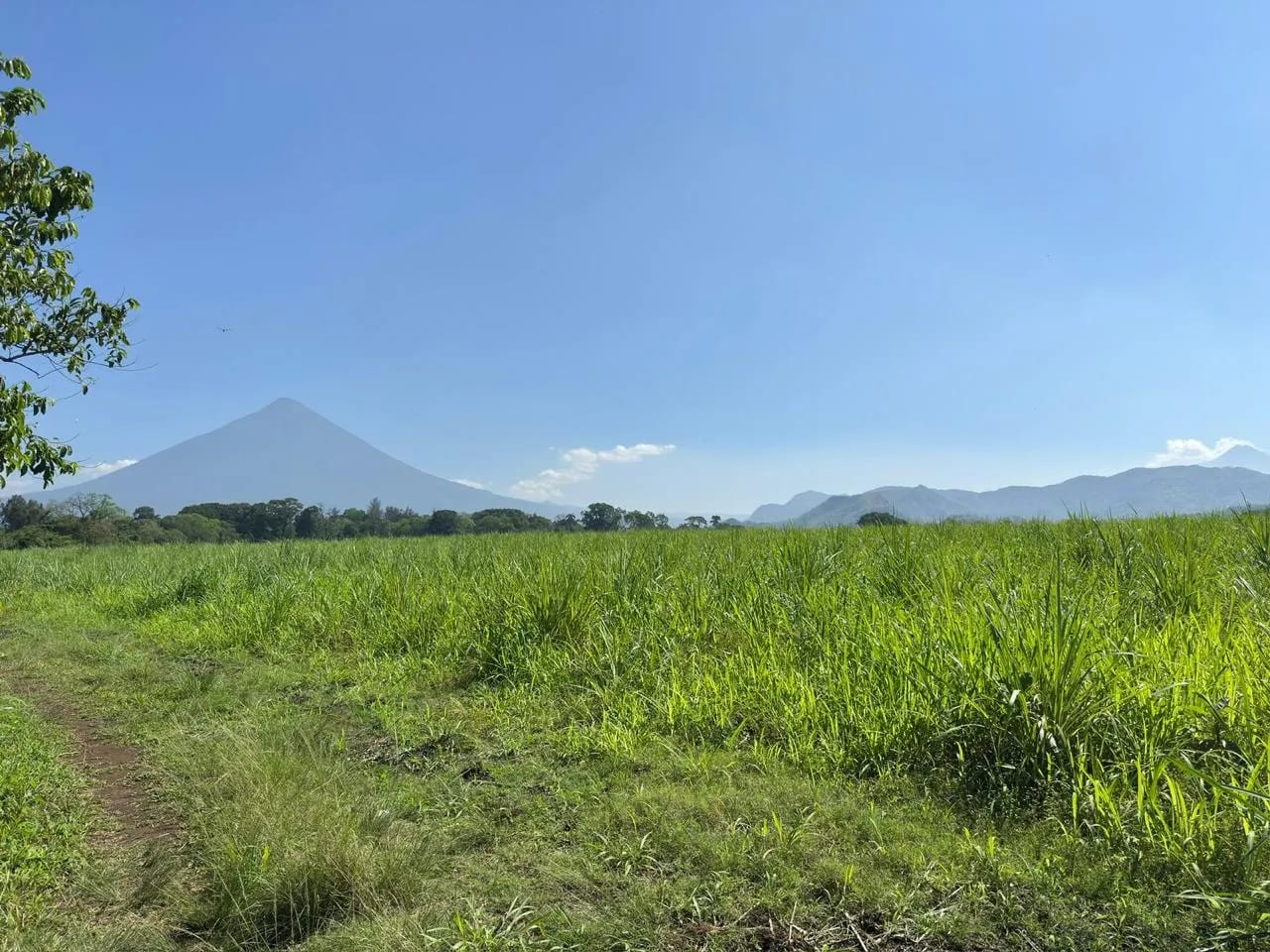 Terreno en venta en Escuintla ideal para desarrollo - totalmente plano — Terreno en Venta en Escuintla, Escuintla — foto 3 de 5
