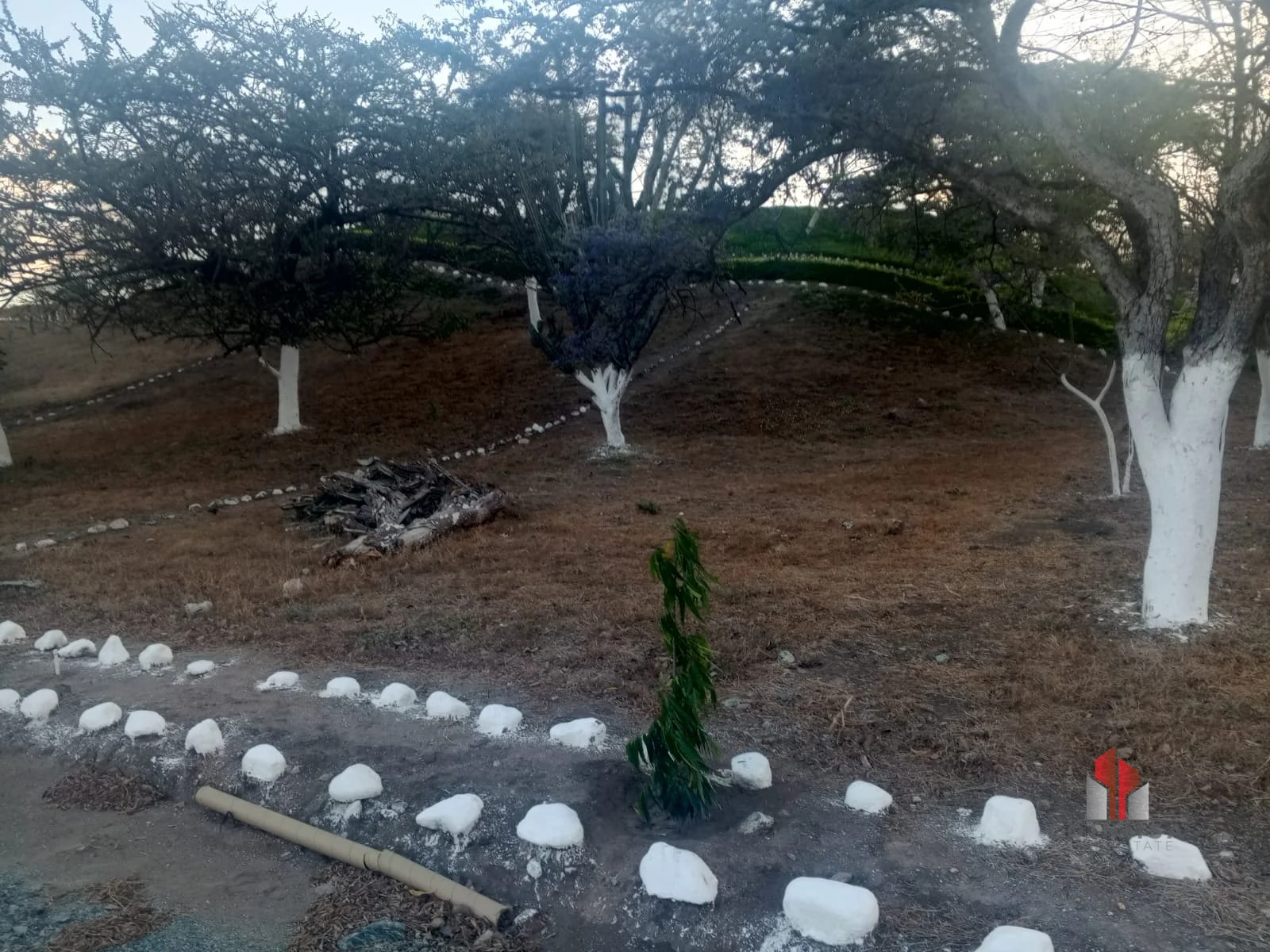 Terreno en Venta / Prados de Usumatlán, Zacapa — Terreno en Venta en Usumatlán, Zacapa — foto 6 de 8
