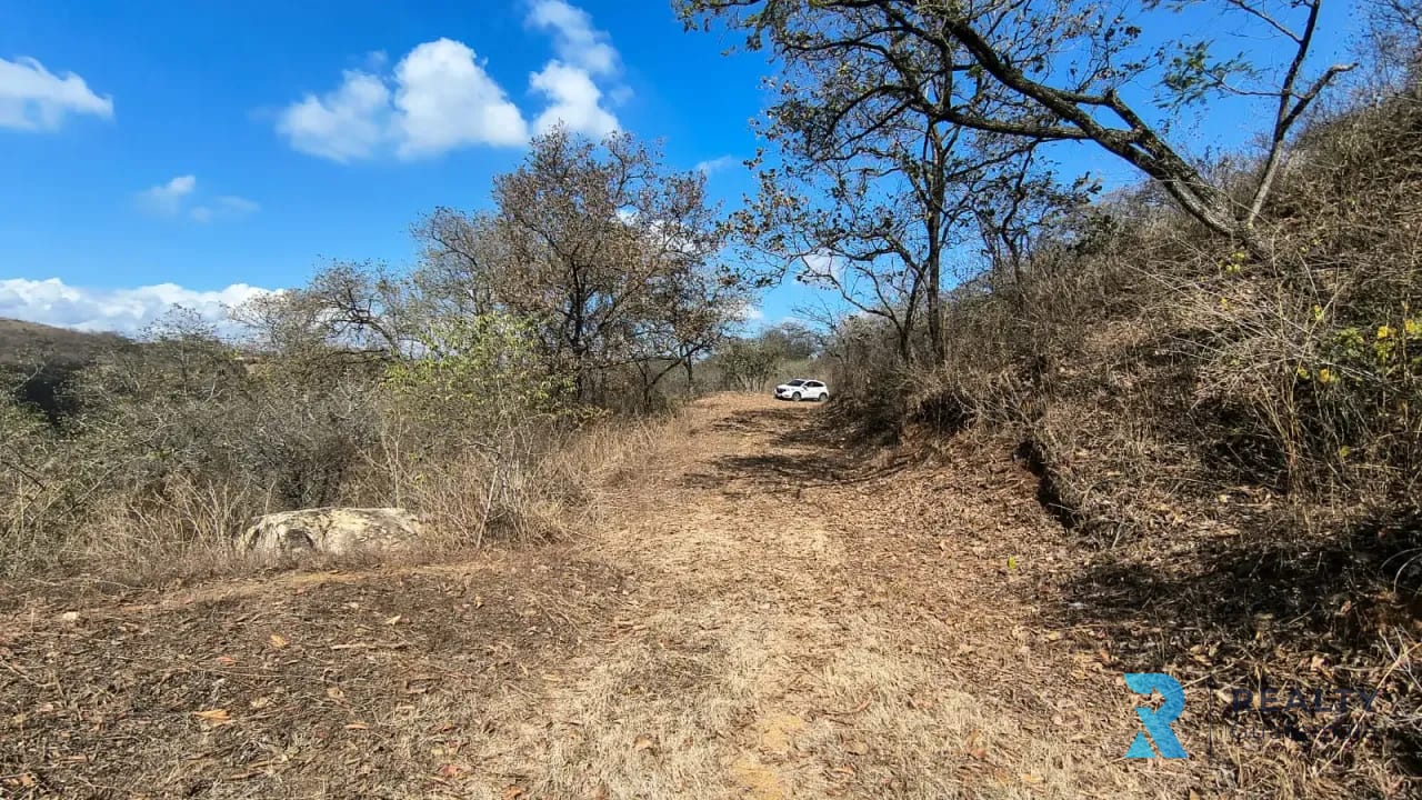 VENDO Terreno Km 37 Carretera al Atlántico, San Antonio La Paz, El Progreso — Terreno en Venta en San Antonio La Paz, El Progreso — foto 3 de 10