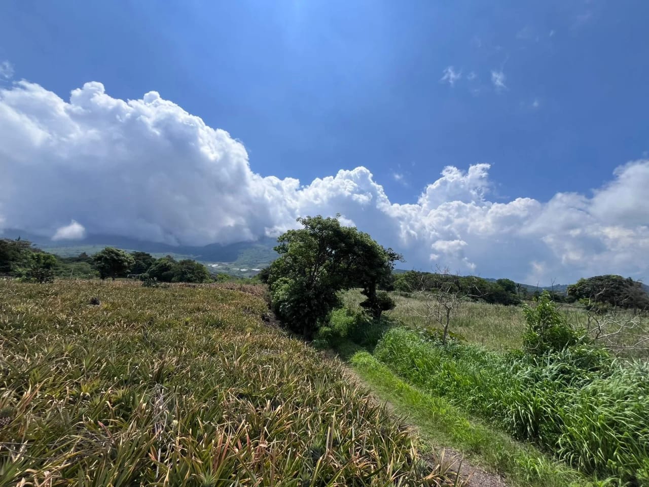 TERRENOS EN VENTA ALDEA LOS LLANOS VILLA CANALES — Terreno en Venta en Santa Elena Barillas, Guatemala, Ciudad — foto 3 de 9