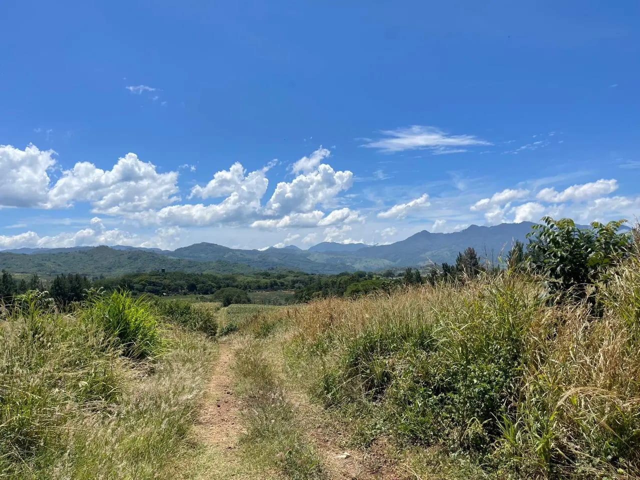 Venta de propiedad en el Jocotillo 18 manzanas ideales para proyecto — Terreno en Venta en Villa Canales, Guatemala, Ciudad — foto 3 de 6