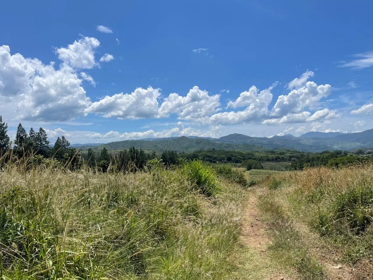 Venta de propiedad en el Jocotillo 18 manzanas ideales para proyecto — Terreno en Venta en Villa Canales, Guatemala, Ciudad — foto 2 de 6