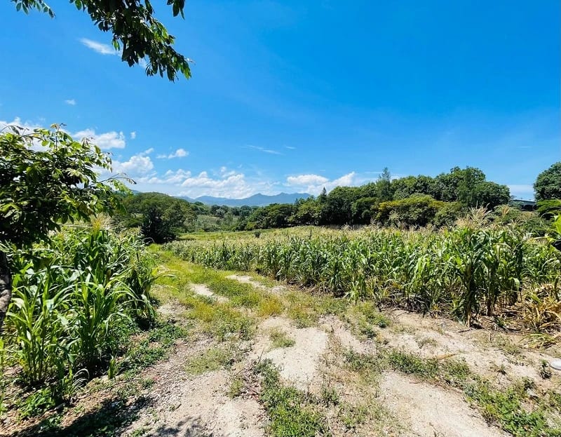 Venta de propiedad en el Jocotillo 18 manzanas ideales para proyecto — Terreno en Venta en Villa Canales, Guatemala, Ciudad — foto 5 de 6