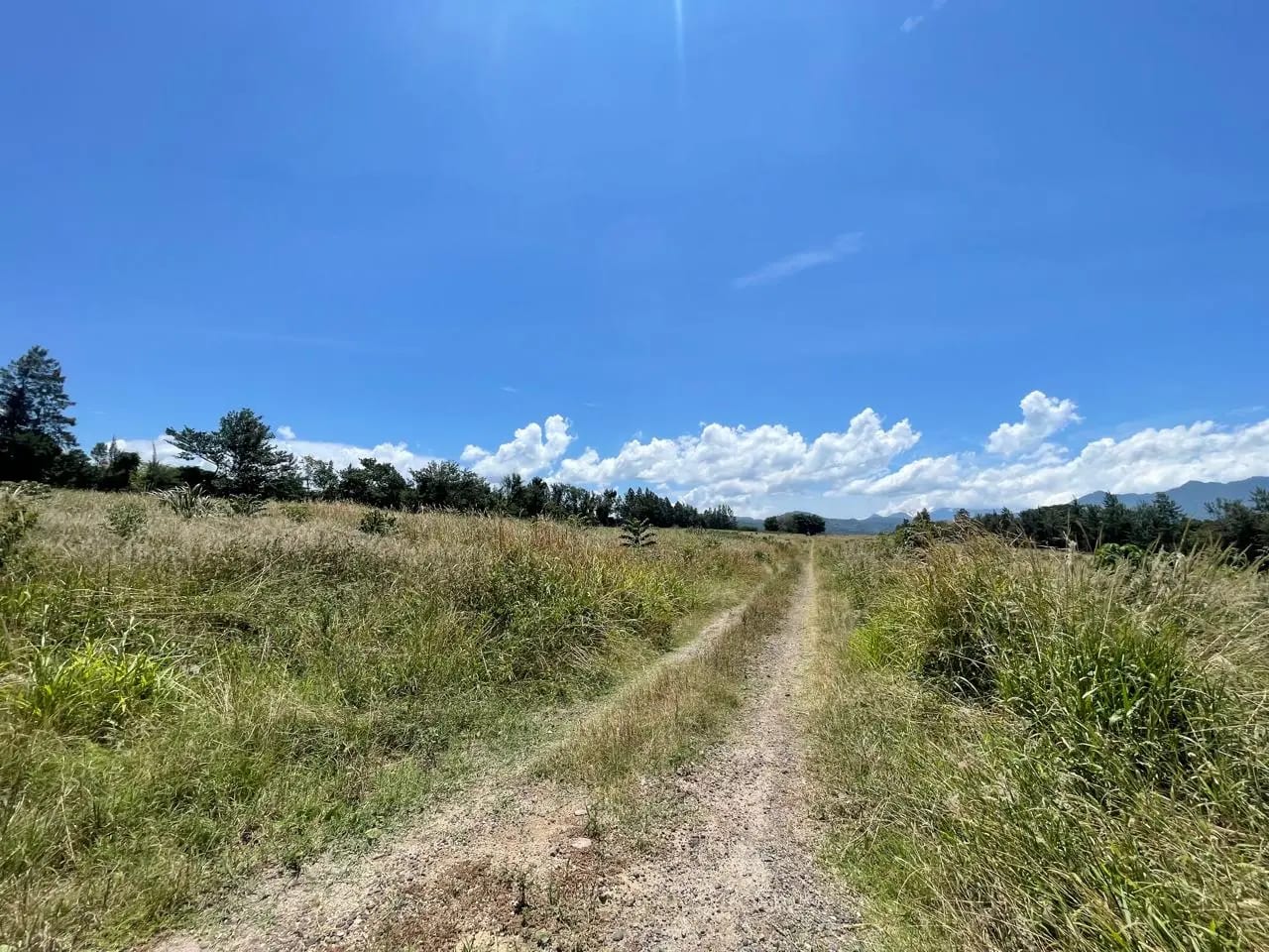 Venta de propiedad en el Jocotillo 18 manzanas ideales para proyecto — Terreno en Venta en Villa Canales, Guatemala, Ciudad — foto 4 de 6