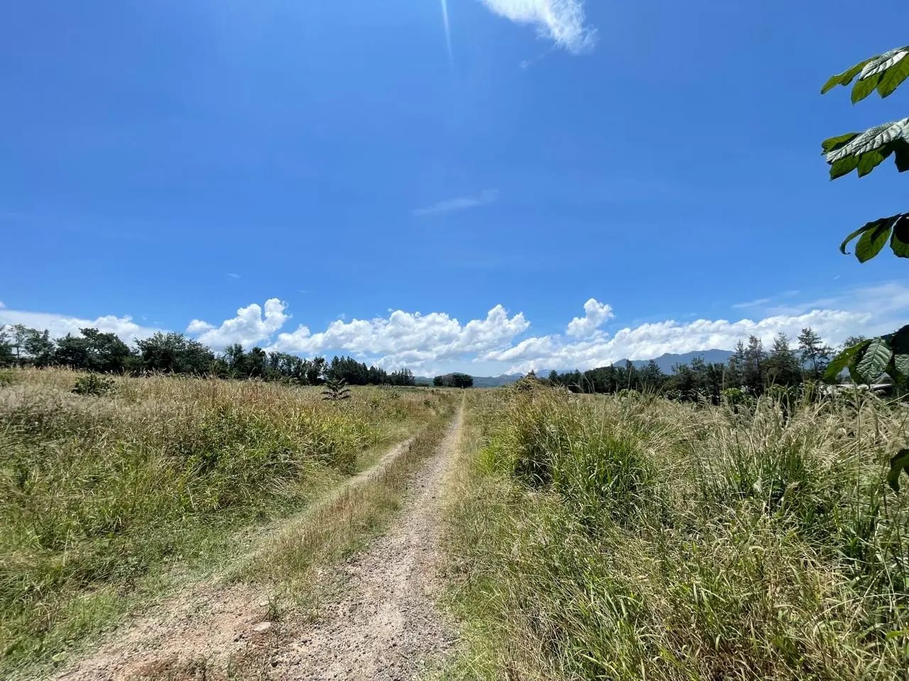 Venta de propiedad en el Jocotillo 18 manzanas ideales para proyecto — Terreno en Venta en Villa Canales, Guatemala, Ciudad — foto 6 de 6