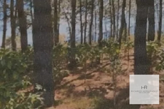 Venta de terreno en Sumpango (Santo Domingo Xenacoj) - 2