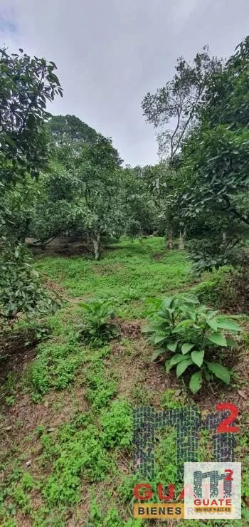 Terreno en Venta, Santa Catarina Pinula — Terreno en Venta en Santa Catarina Pinula, Guatemala, Ciudad — foto 6 de 15