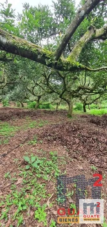Terreno en Venta, Santa Catarina Pinula — Terreno en Venta en Santa Catarina Pinula, Guatemala, Ciudad — foto 8 de 15