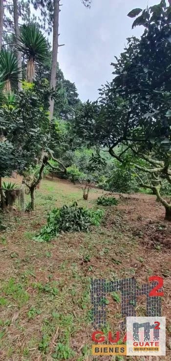 Terreno en Venta, Santa Catarina Pinula — Terreno en Venta en Santa Catarina Pinula, Guatemala, Ciudad — foto 9 de 15