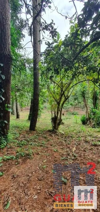 Terreno en Venta, Santa Catarina Pinula — Terreno en Venta en Santa Catarina Pinula, Guatemala, Ciudad — foto 13 de 15