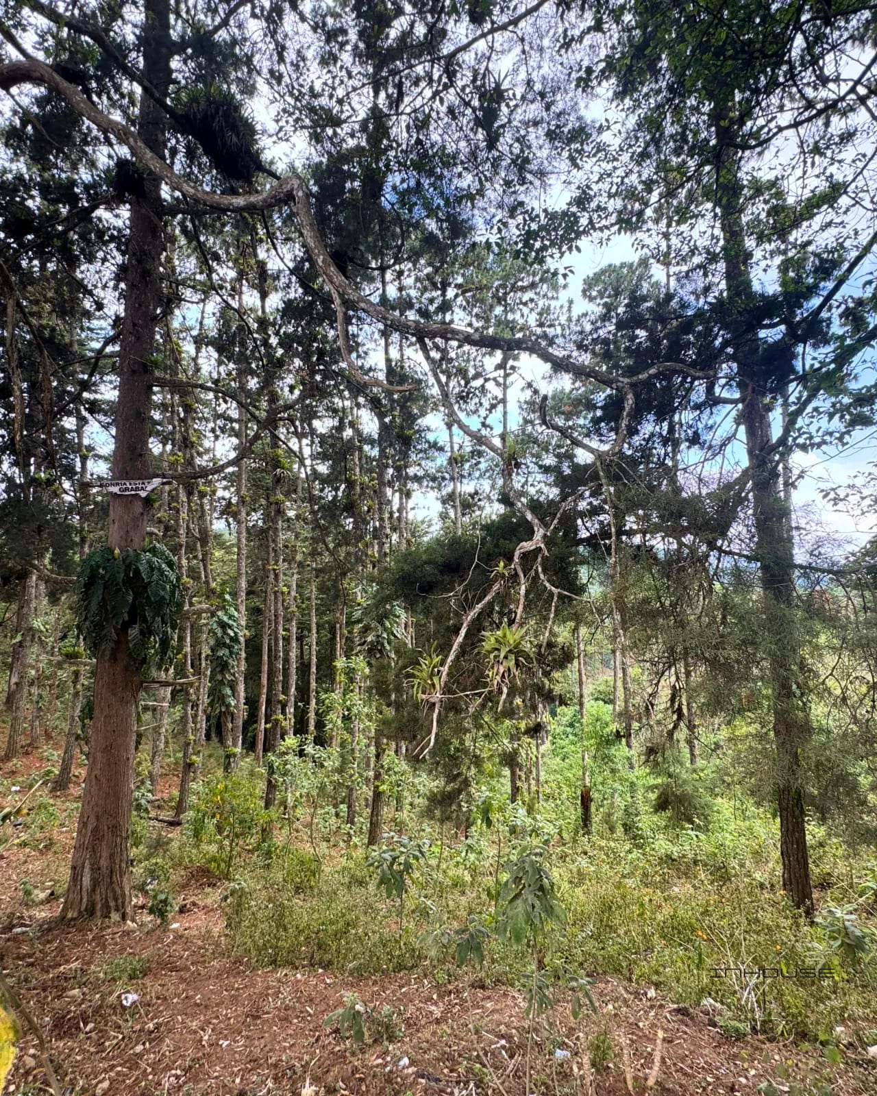 TERRENO EN VENTA, CIENEGA GRANDE — Terreno en Venta en San José Pinula, Guatemala, Ciudad — foto 1 de 5