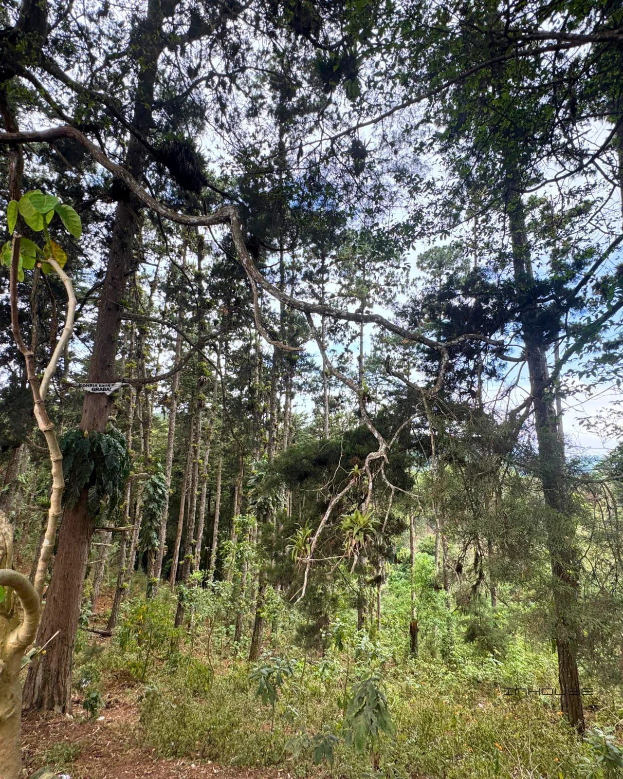 TERRENO EN VENTA, CIENEGA GRANDE — Terreno en Venta en San José Pinula, Guatemala, Ciudad — foto 5 de 5