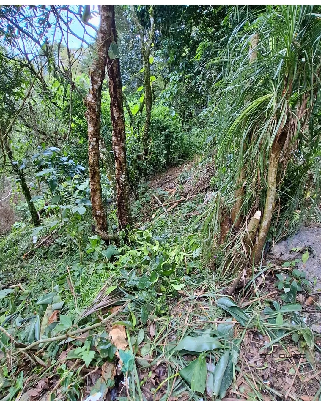 TERRENO EN VENTA EN LA MONTAÑA, ZONA 16 — Terreno en Venta en La Montaña, Zona 16, Guatemala, Ciudad — foto 9 de 11