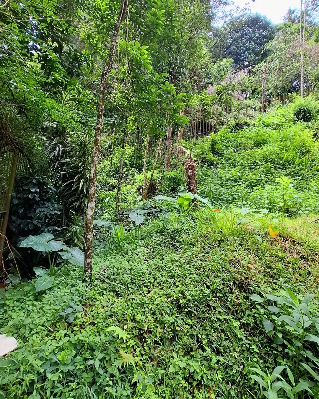 TERRENO EN VENTA EN LA MONTAÑA, ZONA 16 — Terreno en Venta en La Montaña, Zona 16, Guatemala, Ciudad — foto 10 de 11