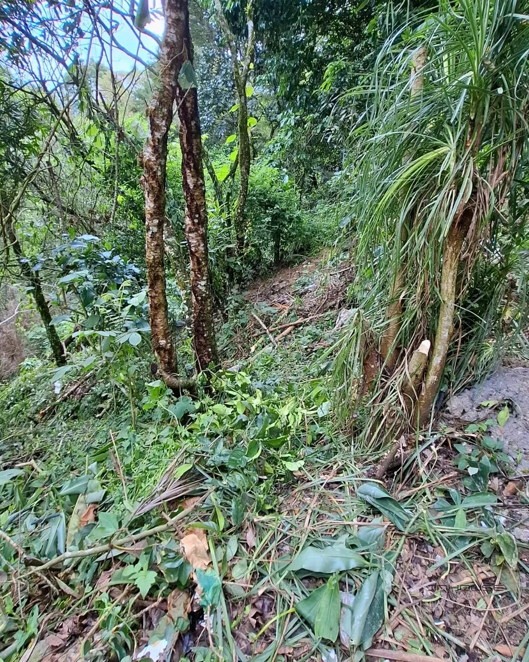 TERRENO EN VENTA EN LA MONTAÑA, ZONA 16 — Terreno en Venta en La Montaña, Zona 16, Guatemala, Ciudad — foto 11 de 11