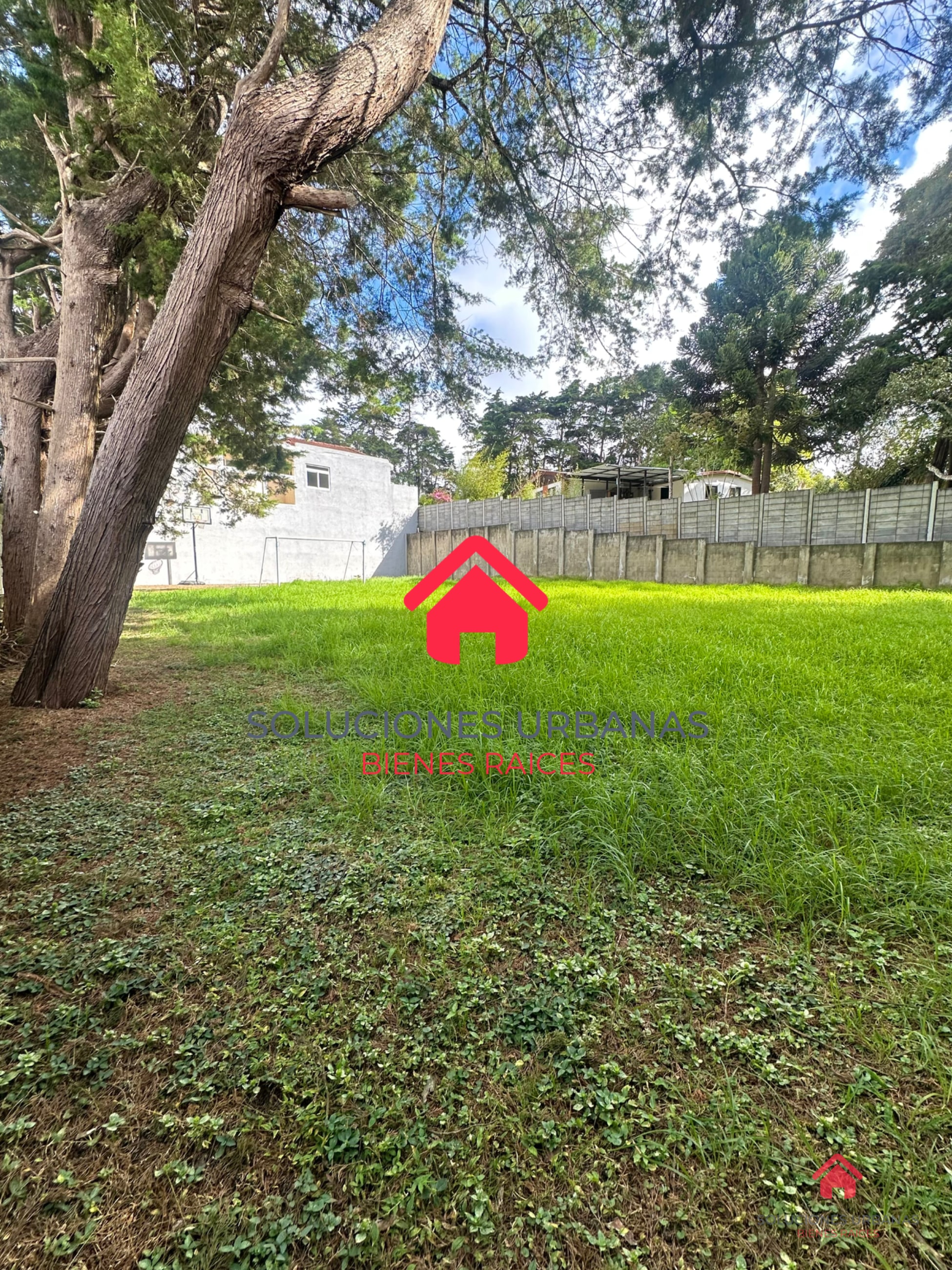 CASA ARRAZOLA CON LINDO JARDÍN / OPCIÓN DE COMPRA CON TERRENO ADICIONAL - 8