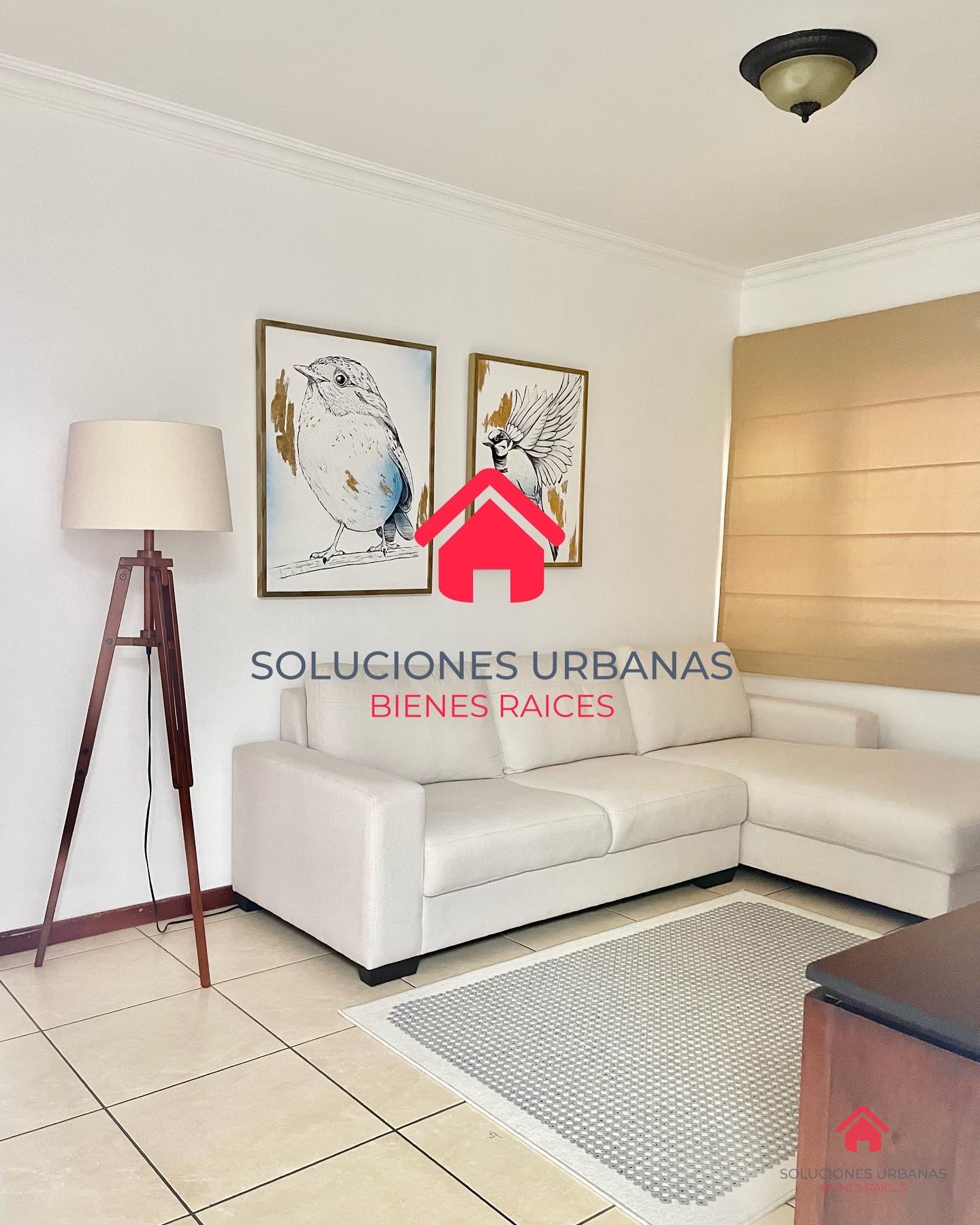 LINDA CASA CARRETERA A FRAIJANES CON PÉRGOLA GRANDE - 9
