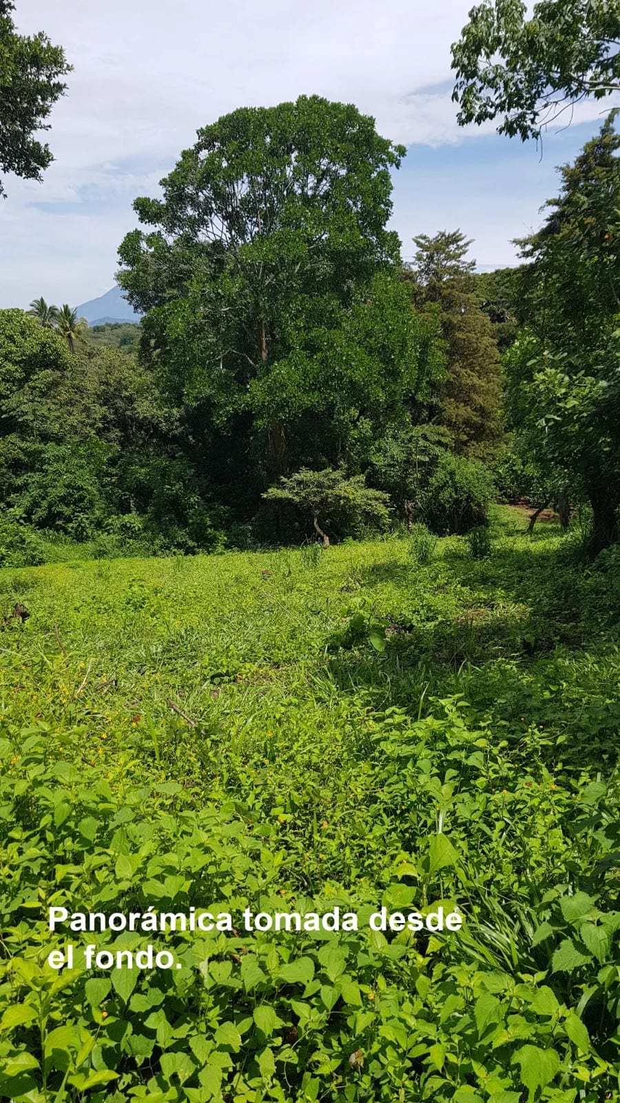 TERRENO EN VENTA EN LAGUNA DEL PINO BARBERENA — Terreno en Venta en Laguna del Pino, Barberena, Santa Rosa — foto 8 de 17
