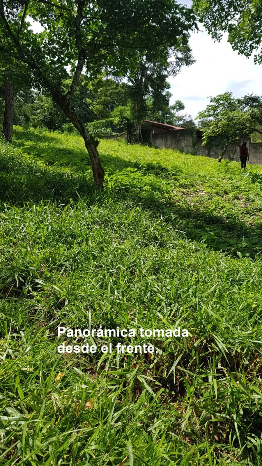 TERRENO EN VENTA EN LAGUNA DEL PINO BARBERENA — Terreno en Venta en Laguna del Pino, Barberena, Santa Rosa — foto 11 de 17