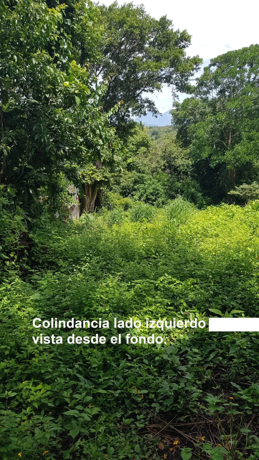 TERRENO EN VENTA EN LAGUNA DEL PINO BARBERENA — Terreno en Venta en Laguna del Pino, Barberena, Santa Rosa — foto 15 de 17
