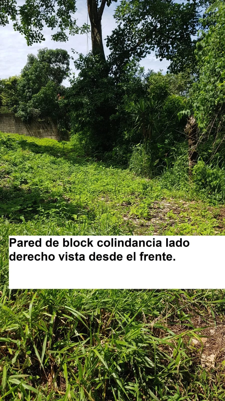 TERRENO EN VENTA EN LAGUNA DEL PINO BARBERENA — Terreno en Venta en Laguna del Pino, Barberena, Santa Rosa — foto 16 de 17